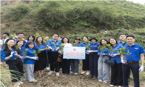 Tuổi trẻ Bộ Dân tộc và Tôn giáo sôi nổi ra quân Tháng Thanh niên năm 2026