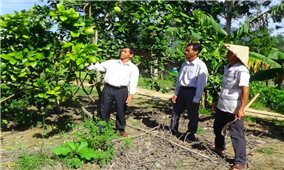 Khánh Hòa: Rà soát hộ nghèo để xây dựng Đề án hỗ trợ sinh kế