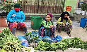 Tăng cường công tác quản lý, điều hành và bình ổn giá, kiểm soát lạm phát