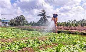 Đồng bào Khmer thêm một mùa Tết Chôl Chnăm Thmây khởi sắc