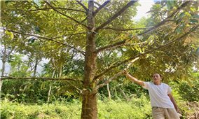 Nông dân vùng cao Đà Nẵng 