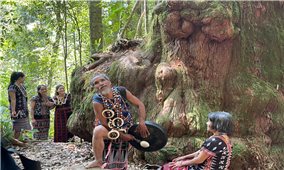 Gìn giữ hồn rừng, lan tỏa giá trị văn hóa Cơ Tu