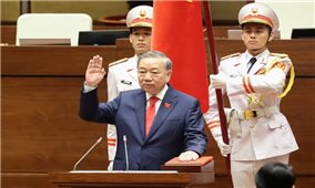 Tiểu sử tóm tắt của Tổng Bí thư, Chủ tịch nước Tô Lâm