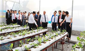 Bắc Giang: Hỗ trợ nâng tầm sản phẩm OCOP