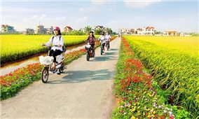 Bắc Ninh tiếp tục phấn đấu xây dựng nông thôn mới kiểu mẫu