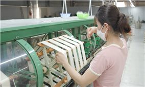 Yên Bái: Phát triển sản phẩm ocop theo hướng sản xuất xanh