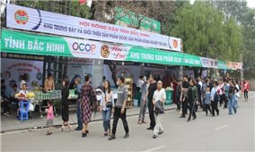 Bắc Ninh có 98 sản phẩm tham gia Chương trình OCOP năm 2024