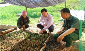 Thuận Châu (Sơn La): Phát huy hiệu quả nguồn lực đầu tư từ các chương trình, dự án chính sách dân tộc