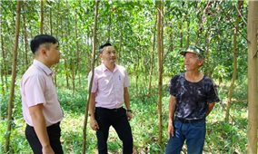 Huyện M’Drắk (Đắk Lắk): Tổng nguồn vốn tín dụng chính sách xã hội đạt trên 626 tỷ đồng