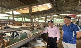 Đắk Nông: Người dân được tiếp cận nguồn vốn tín dụng chính sách kịp thời