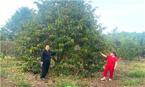 Tân Phú (Đồng Nai): Nỗ lực đưa tín dụng chính sách đến với người dân