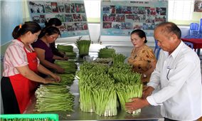 Tháo “nút thắt” để HTX vùng DTTS bứt phá