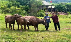 NHCSXH tiếp sức bản Ploang: Vốn nhỏ góp giấc mơ thoát nghèo lớn