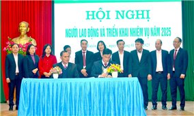 Ngân hàng Chính sách Xã hội Chi nhánh tỉnh Tuyên Quang: Tổ chức Hội nghị người lao động và triển khai nhiệm vụ năm 2025