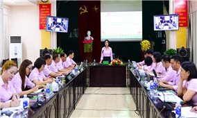 Tuyên Quang: Duy trì hiệu quả tín dụng chính sách sau sáp nhập