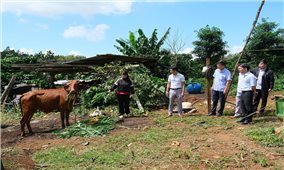 Chính sách hỗ trợ thiết thực tạo 
