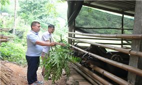 Tuyên Quang: Vượt mục tiêu giảm nghèo vùng DTTS