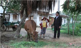 Đắk Lắk hướng đến mục tiêu không còn hộ nghèo vào năm 2030