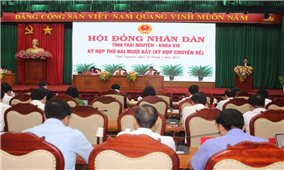 Thái Nguyên thông qua 7 nghị quyết chuyên đề về phát triển kinh tế-xã hội