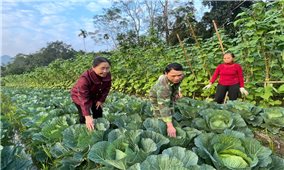 Tuyên Quang: Người có uy tín góp phần đổi thay thôn nghèo