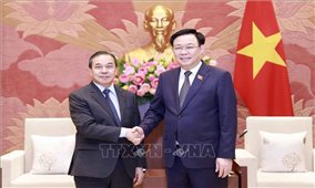 Chủ tịch Quốc hội Vương Đình Huệ tiếp Đại sứ Lào đến chào từ biệt