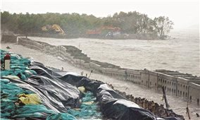 Đồng bằng Sông Cửu Long: Sạt lở diễn biến nghiêm trọng