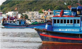Đẩy mạnh kinh tế biển ở Bình Thuận