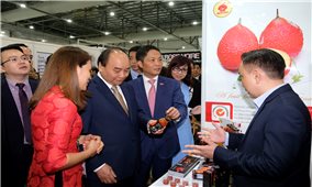 Thủ tướng thăm gian hàng Việt Nam tại Hội chợ FHA 2018