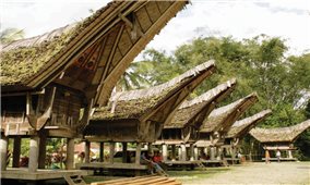Cuộc sống thanh bình của người Toraja