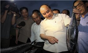 Hai năm sau sự cố môi trường biển miền Trung: Đời sống, sản xuất đã tốt hơn