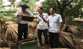 Những Cựu chiến binh đẩy lùi “giặc nghèo”