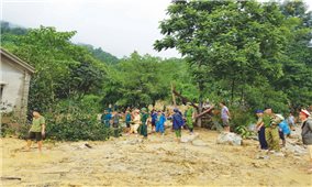 Các tỉnh Bắc Trung Bộ: Gồng mình khắc phục bão lũ