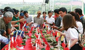 Đăk Nông: Đưa thương hiệu bơ Việt Nam vươn ra thế giới