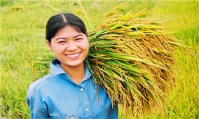 Chính thức ‘cởi trói’ cho xuất khẩu gạo