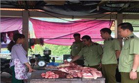 Lào Cai: Tăng cường ngăn chặn lợn nhập lậu qua biên giới