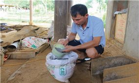 Huyện Quế Phong (Nghệ An): Chanh leo nhiễm bệnh tràn lan