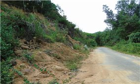 Bình Định: Chủ động phòng ngừa nguy cơ sạt lở đất, đá ở miền núi