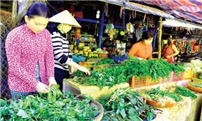 Niềm vui từ đảo tiền tiêu