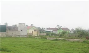 Nghệ An: Lợi dụng xây dựng nông thôn mới để bán đất trái thẩm quyền