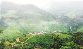 Màu xanh no ấm