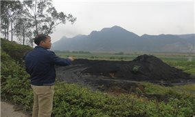 Nghệ An: Nhà máy mía đường gây ô nhiễm nghiêm trọng