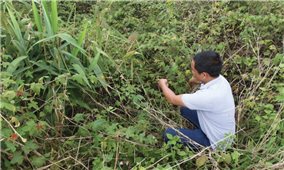 Những “lỗ hổng” trong quản lý rừng và đất rừng ở ĐăK Nông