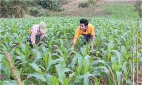 Các huyện miền núi Thừa Thiên-Huế hỗ trợ vùng đặc biệt khó khăn xây dựng nông thôn mới