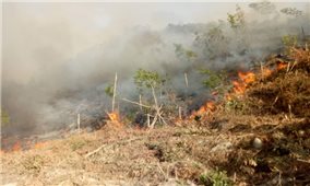 Miền Trung: Liên tiếp xảy ra cháy rừng