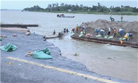 Đồng bằng sông Cửu Long: Sạt lở nghiêm trọng ở nhiều địa phương
