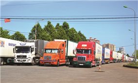 Hàng nghìn tấn thanh long xuất khẩu ùn tắc tại Cửa khẩu Lào Cai