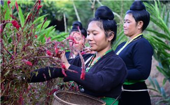 Xuân sớm ở bản người Cống