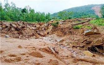 Tây Sơn (Bình Định): Sạt lở núi vùi lấp nhiều diện tích đất sản xuất