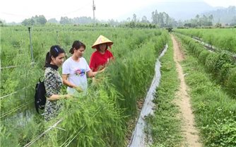 Phú Thọ: Gần 50 tỷ đồng cho 1.201 hộ nông dân vay vốn