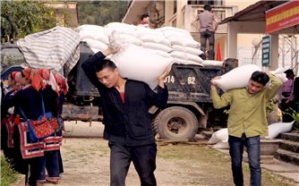 Xuất cấp hơn 7.800 tấn gạo cho các địa phương dịp Tết Nguyên đán và giáp hạt đầu năm 2022